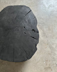 Stump Round End Table