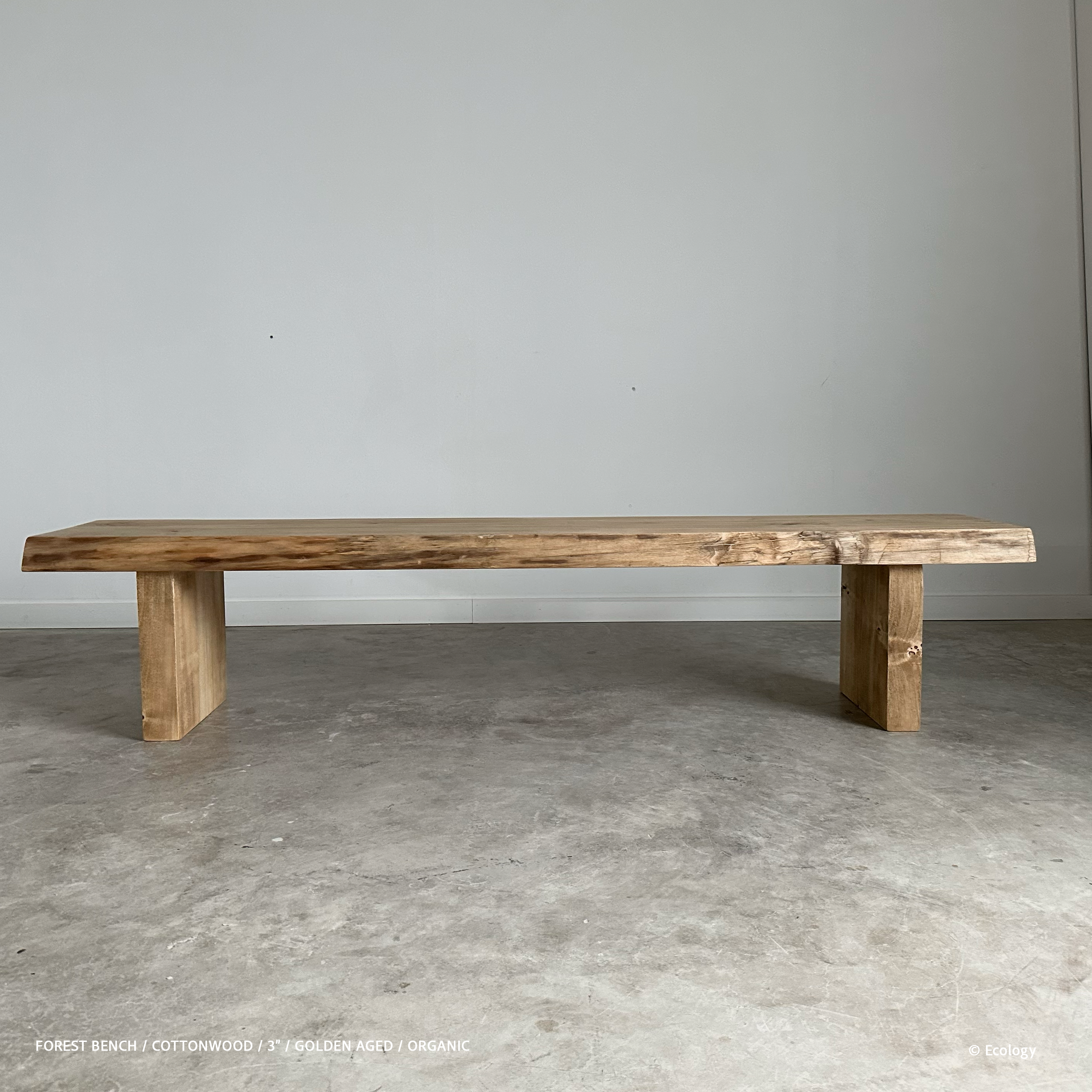 Forest Bench