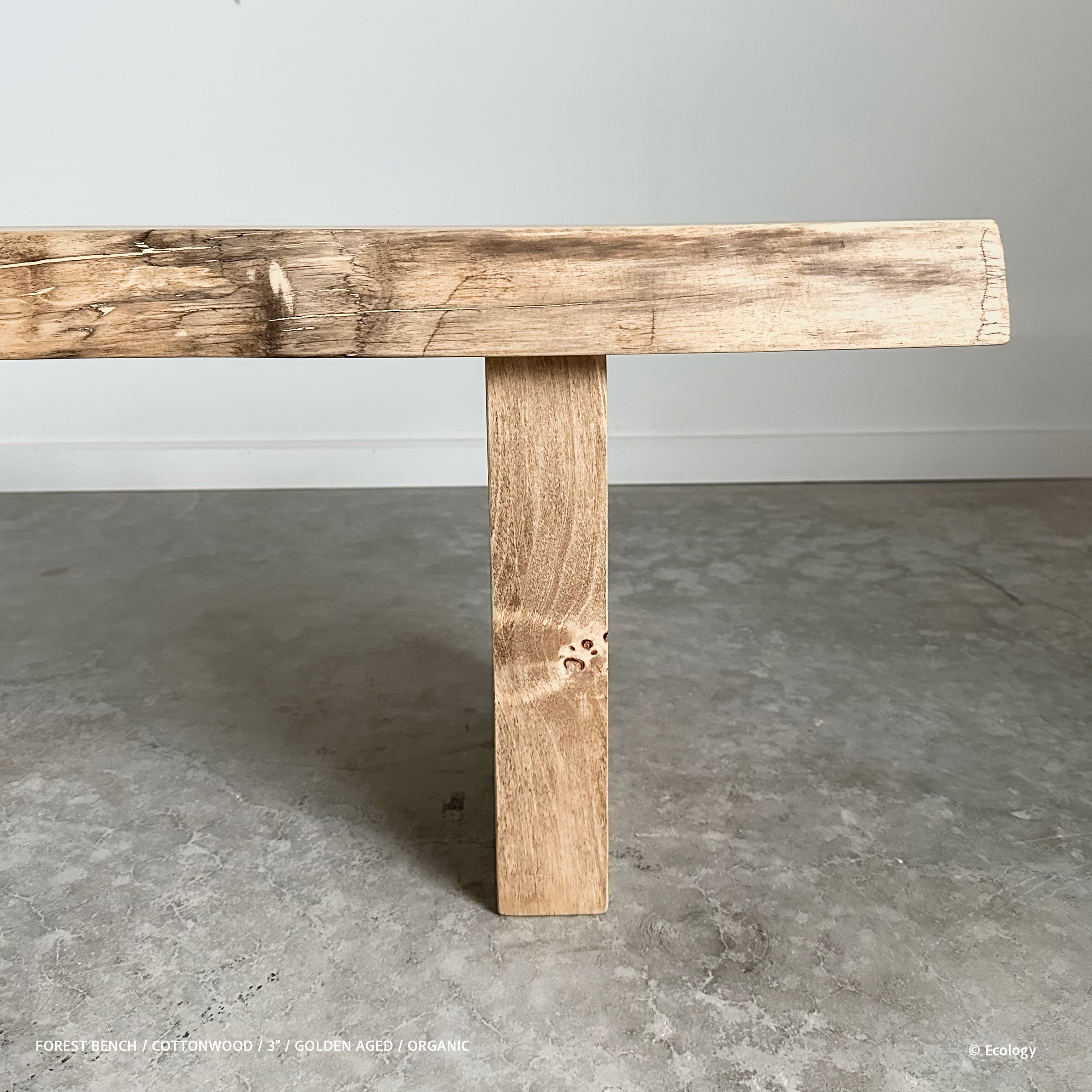 Forest Bench