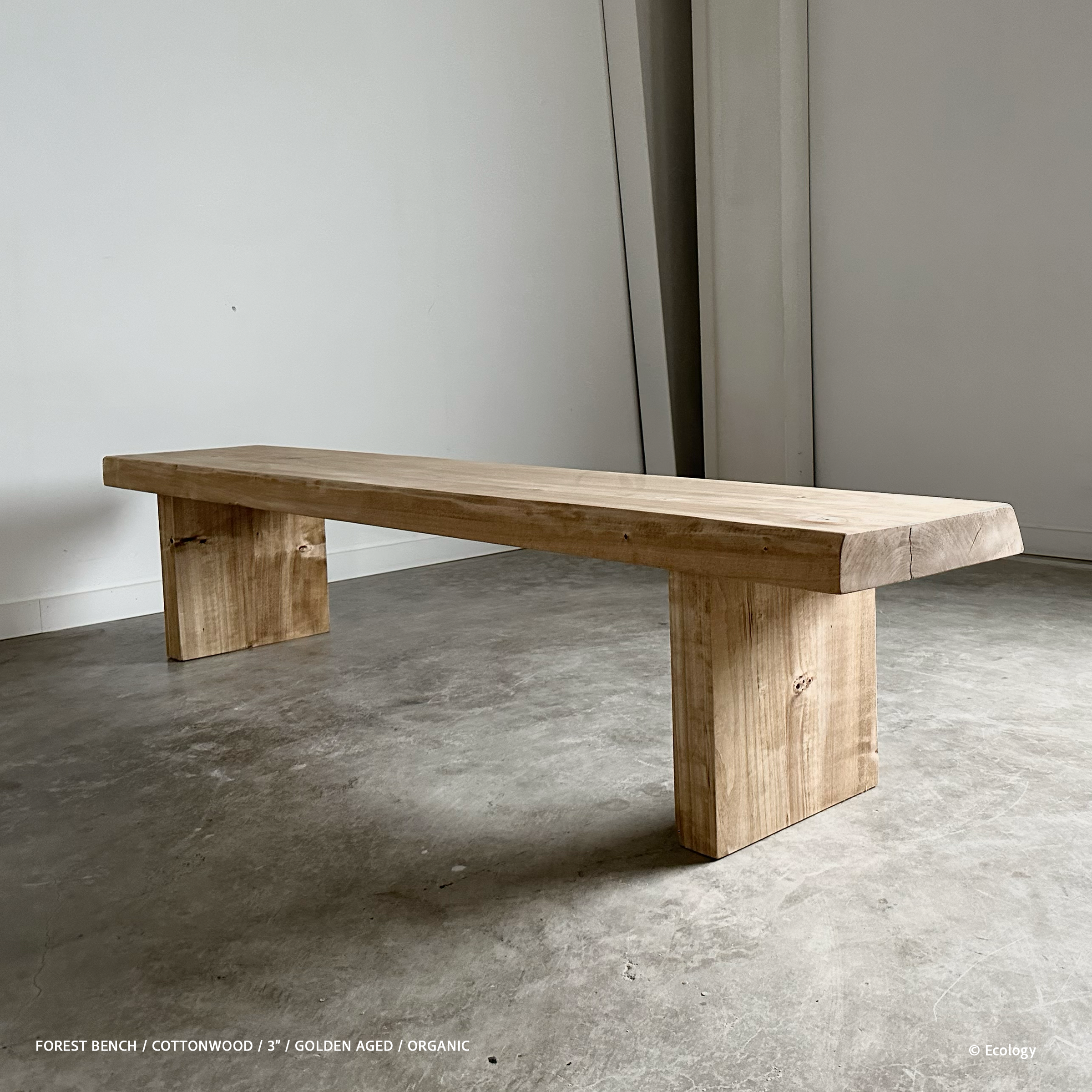 Forest Bench