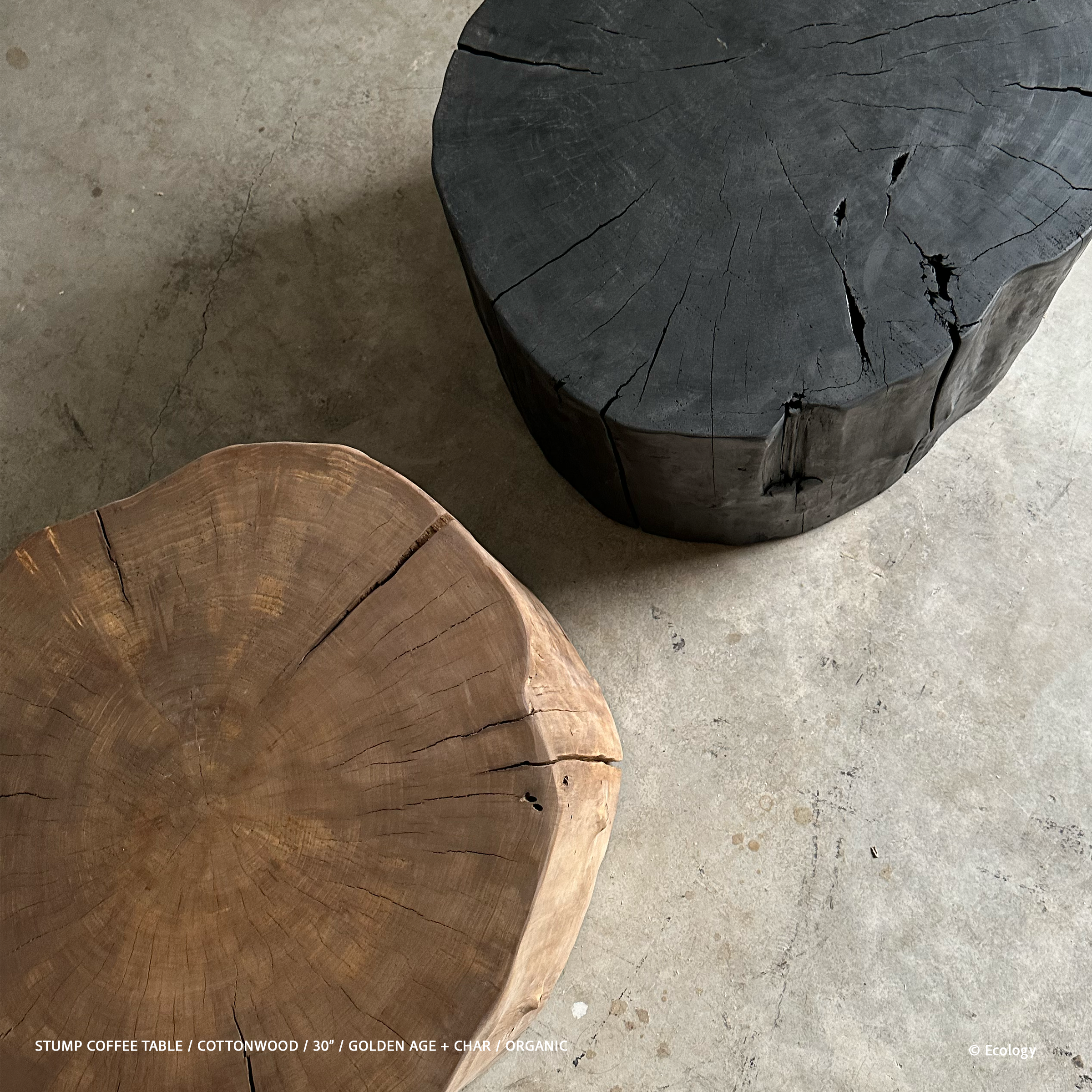 Stump Coffee Table