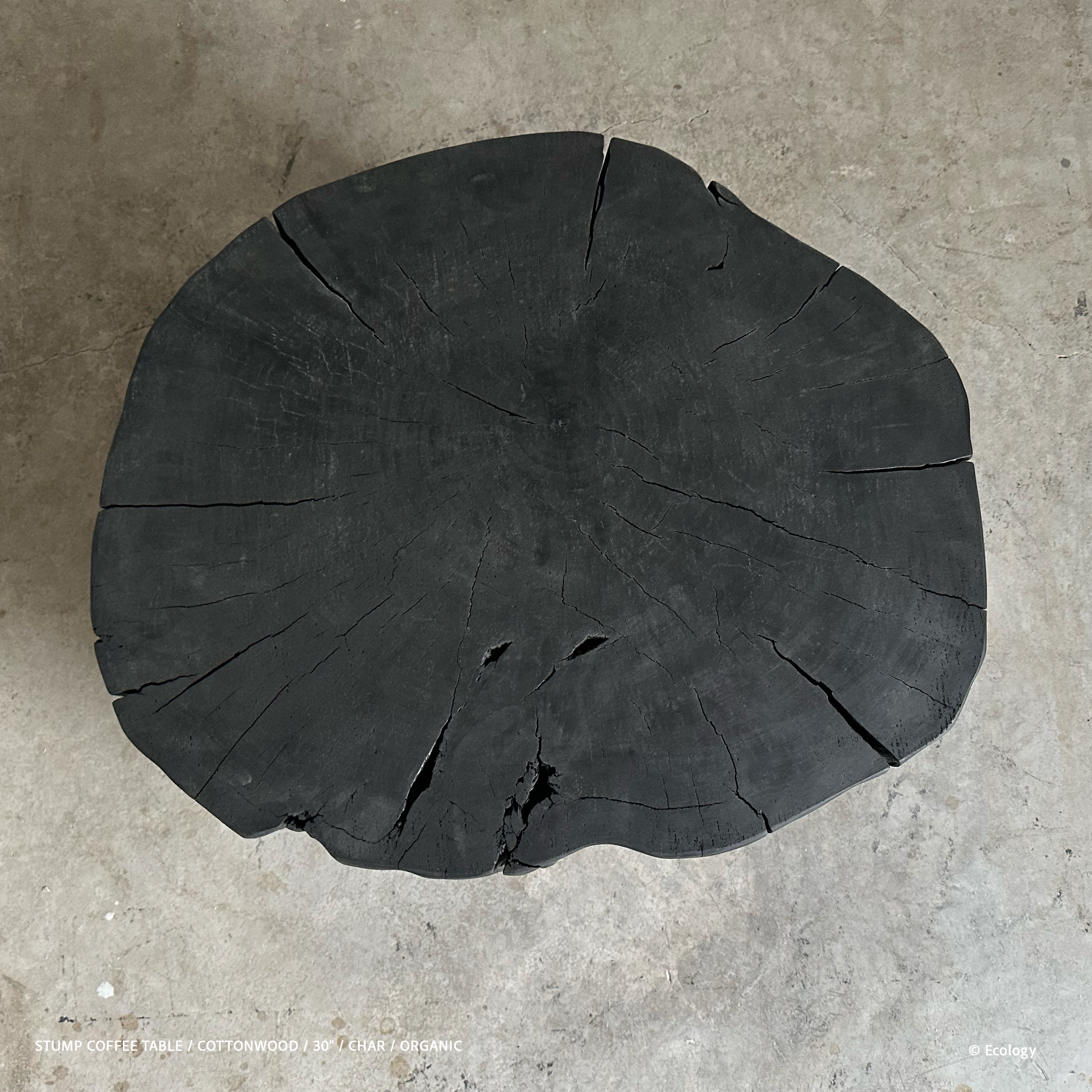 Stump Coffee Table